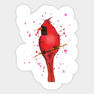 Northern cardinal Sticker